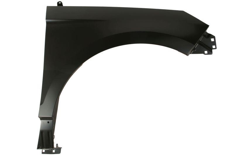 Front fender Ford USA: 6504042598312P Blic Front fender