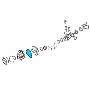 Gasket, water pump General Motors 24446365