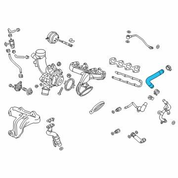 Hose General Motors 55596898