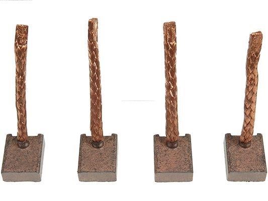 BSX204205 AS-PL Starter brushes
