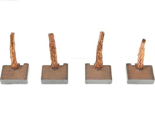 BSX159160 AS-PL Starter brushes