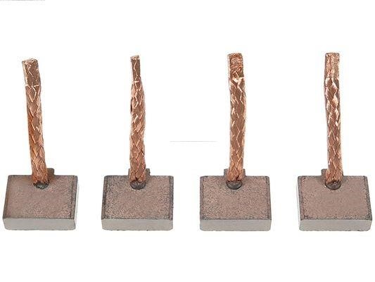 SB1005 AS-PL Starter brushes
