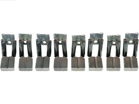 SB1013S AS-PL Starter brush
