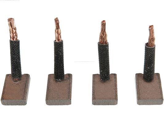 SB5003 AS-PL Starter brushes