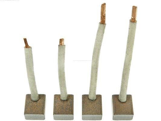 SB3007S AS-PL Starter brush