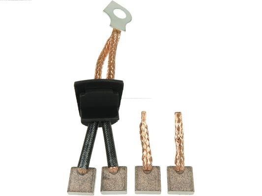 SB3008S AS-PL Starter brush