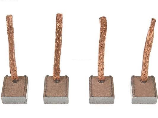 AS-PL SB6007 Starter brush SB6007 SB6007 AS-PL Starter brush