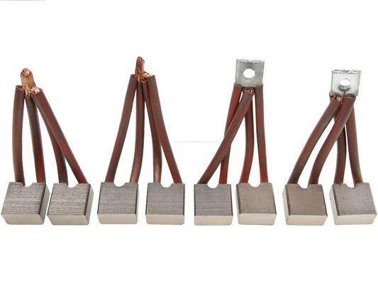 SB3009S AS-PL Starter brush