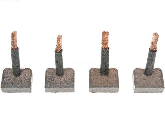 SB6026S AS-PL Carbon Brush, starter