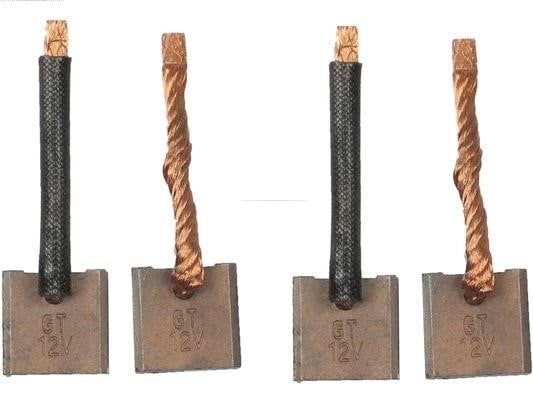SB5027 AS-PL Carbon Brush, starter