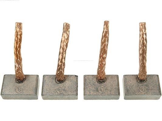 SB0008S AS-PL Starter brush