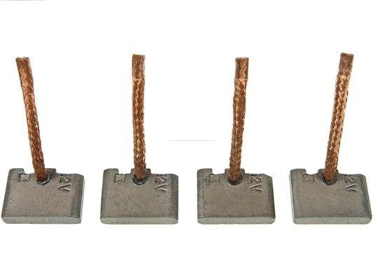 SB0009S AS-PL Starter brush