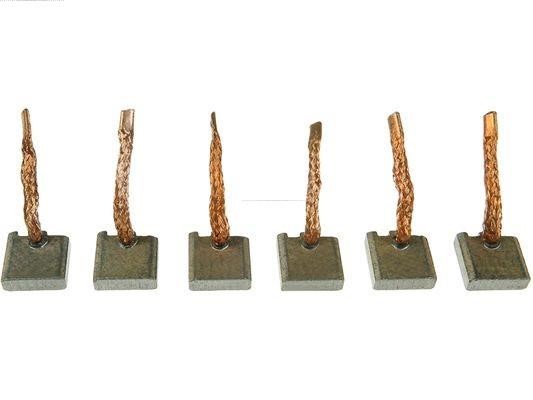 SB0012S AS-PL Carbon Brush, starter