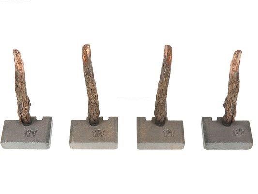SB9009 AS-PL Starter brush