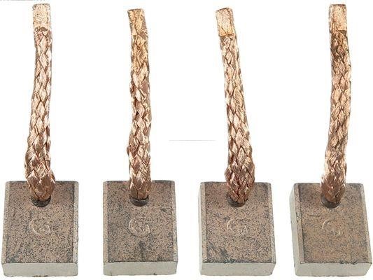 SB0005 AS-PL Starter brush