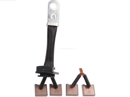 SB3006 AS-PL Starter brush