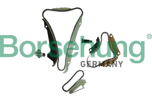 B10222 Borsehung Timing Chain Kit