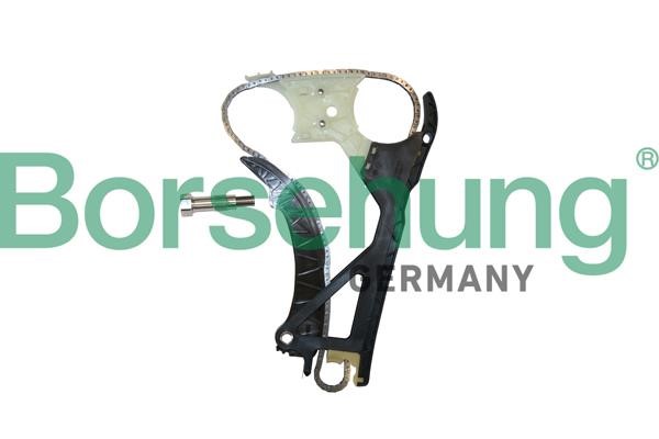 Borsehung B10224 Timing Chain Kit B10224