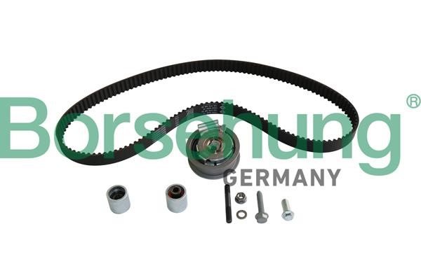 Borsehung B10226 Timing Belt Kit B10226