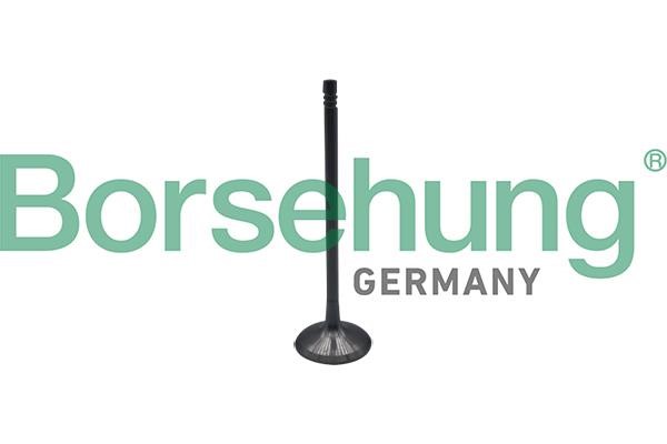 B10323 Borsehung Intake valve