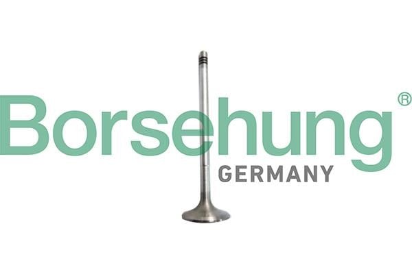 Inlet valve engine Audi A4: B10327 Borsehung Intake valve