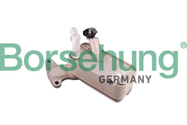 B10879 Borsehung Oil Cooler, automatic transmission