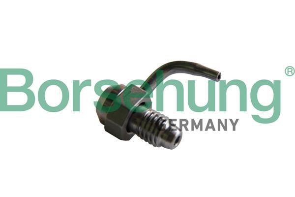 Engine lubrication system Audi: B11161 Borsehung Holding Bracket, oil jet