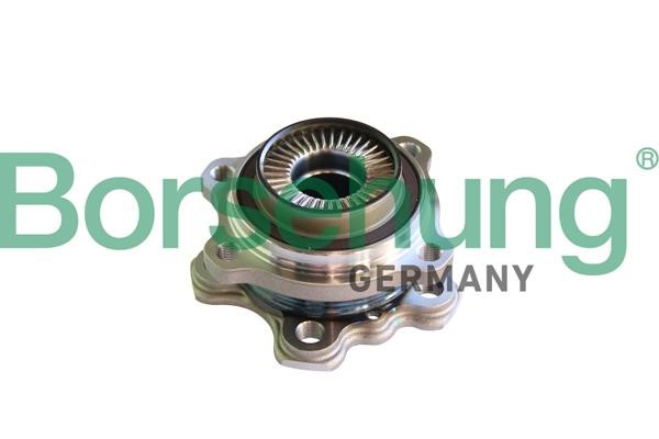 Borsehung B11293 Wheel bearing kit B11293