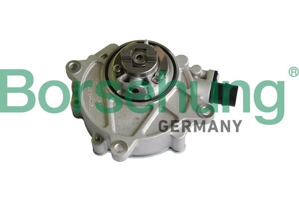 B12222 Borsehung Vacuum Pump, braking system