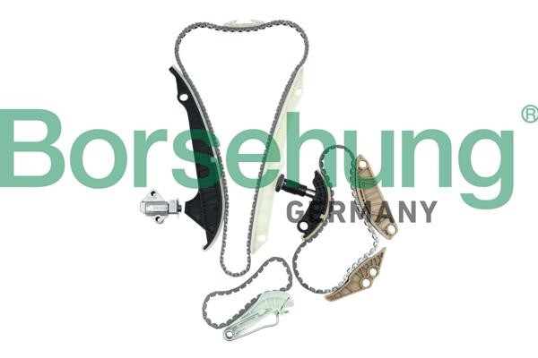 Timing chain set Skoda Superb: B10223 Borsehung Timing Chain Kit