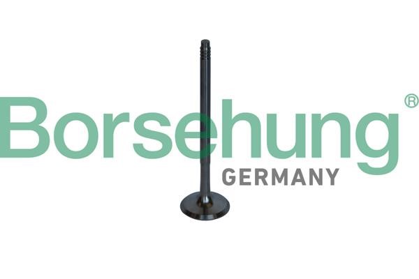 B10326 Borsehung Exhaust valve