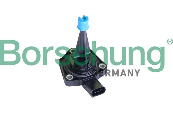 Oil level sender Seat Ateca: B11861 Borsehung Oil level sensor