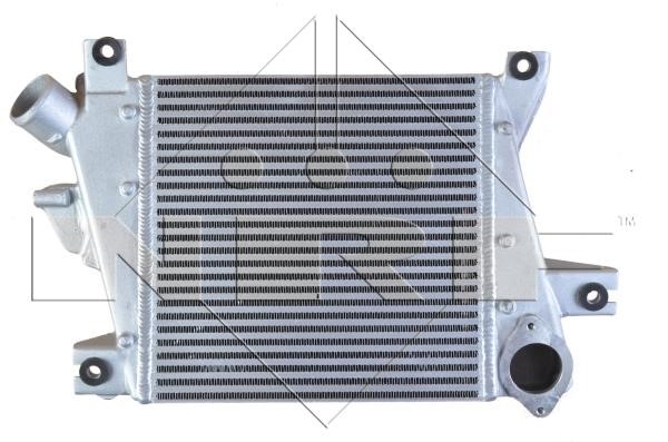 Wilmink Group WG1723933 Intercooler, charger WG1723933