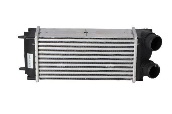 Wilmink Group WG1724111 Intercooler, charger WG1724111