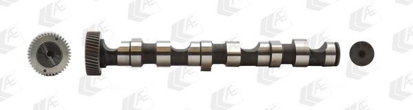 Wilmink Group WG1171924 Camshaft WG1171924