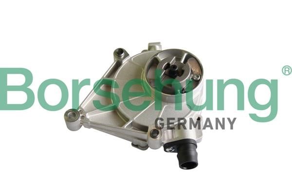 B12223 Borsehung Vacuum pump