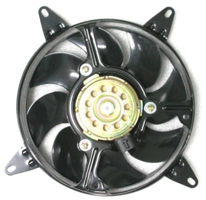 Wilmink Group WG1720495 Hub, engine cooling fan wheel WG1720495