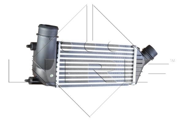 Wilmink Group WG1723807 Intercooler, charger WG1723807