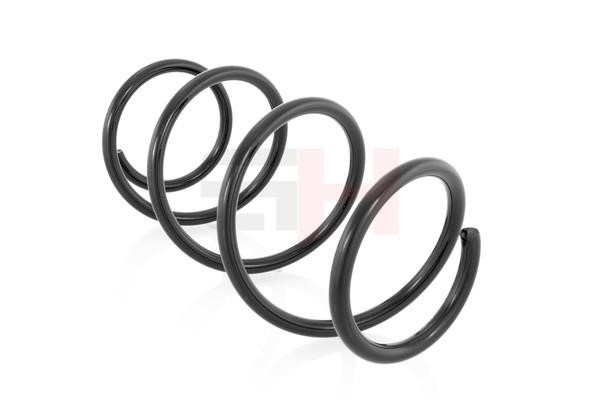 Suspension Spring GH GH-203930