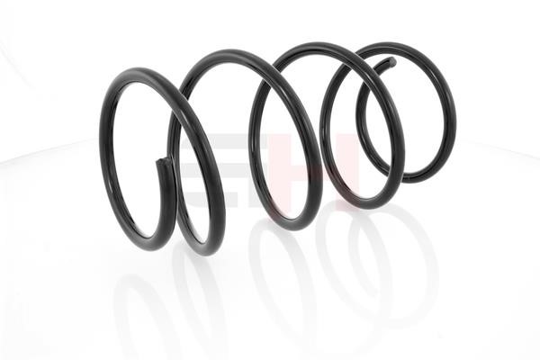 Suspension Spring GH GH-209301