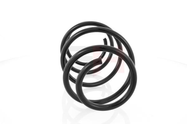 Suspension Spring GH GH-209302V