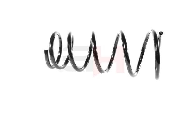 Suspension Spring GH GH-224402
