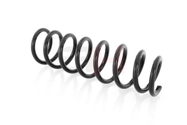 Suspension Spring GH GH-221507
