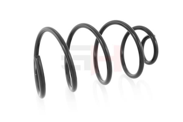 Front coil spring GH GH-202304