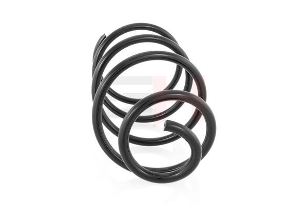GH202304 GH Front coil spring