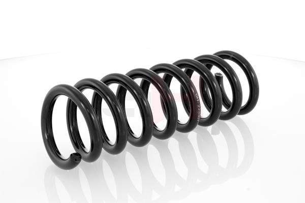 Suspension Spring GH GH-223307