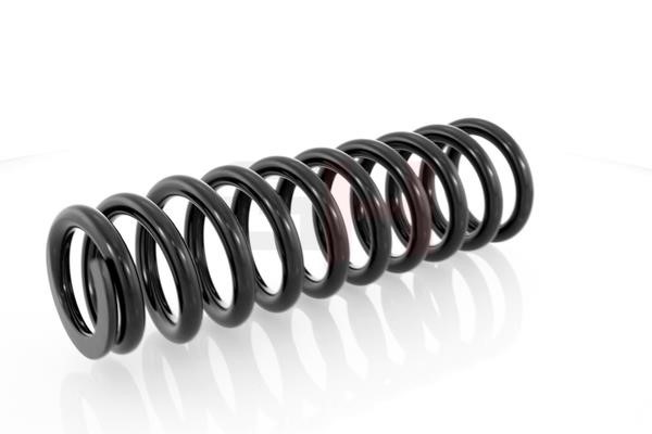 Suspension Spring GH GH-223310