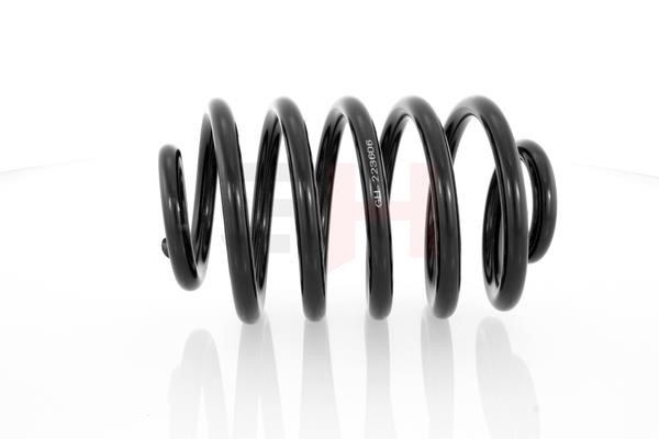 Suspension Spring GH GH-223606