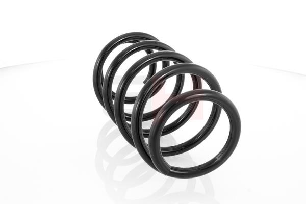 GH223659 GH Suspension Spring