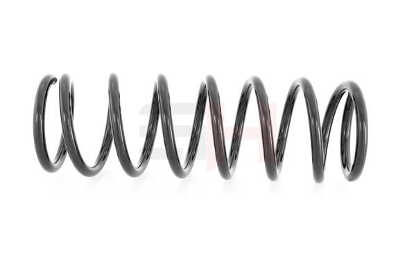 Suspension Spring GH GH-222510